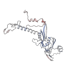 12568_7nsi_AE_v1-1
55S mammalian mitochondrial ribosome with mtRRF (pre) and tRNA(P/E)