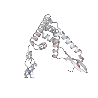 12568_7nsi_AG_v1-1
55S mammalian mitochondrial ribosome with mtRRF (pre) and tRNA(P/E)