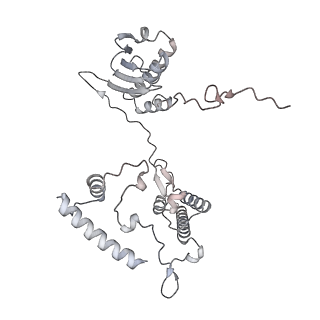 12568_7nsi_AI_v1-1
55S mammalian mitochondrial ribosome with mtRRF (pre) and tRNA(P/E)
