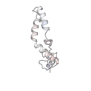12568_7nsi_AN_v1-1
55S mammalian mitochondrial ribosome with mtRRF (pre) and tRNA(P/E)