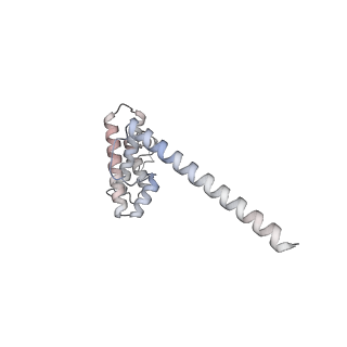 12568_7nsi_AO_v1-1
55S mammalian mitochondrial ribosome with mtRRF (pre) and tRNA(P/E)