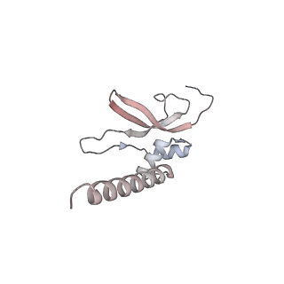 12568_7nsi_AP_v1-1
55S mammalian mitochondrial ribosome with mtRRF (pre) and tRNA(P/E)
