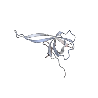 12568_7nsi_AQ_v1-1
55S mammalian mitochondrial ribosome with mtRRF (pre) and tRNA(P/E)