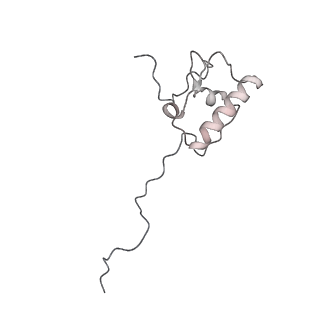 12568_7nsi_AR_v1-1
55S mammalian mitochondrial ribosome with mtRRF (pre) and tRNA(P/E)