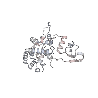12568_7nsi_Aa_v1-1
55S mammalian mitochondrial ribosome with mtRRF (pre) and tRNA(P/E)