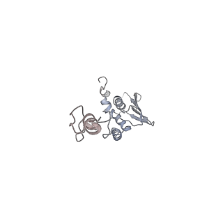 12568_7nsi_Ac_v1-1
55S mammalian mitochondrial ribosome with mtRRF (pre) and tRNA(P/E)