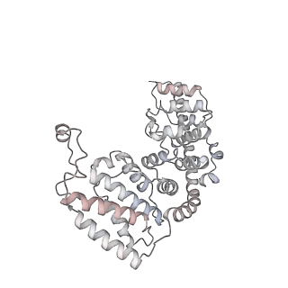 12568_7nsi_Ae_v1-1
55S mammalian mitochondrial ribosome with mtRRF (pre) and tRNA(P/E)