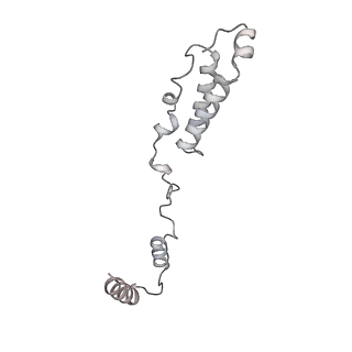 12568_7nsi_Ah_v1-1
55S mammalian mitochondrial ribosome with mtRRF (pre) and tRNA(P/E)