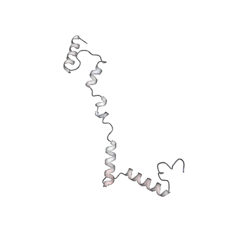 12568_7nsi_Ai_v1-1
55S mammalian mitochondrial ribosome with mtRRF (pre) and tRNA(P/E)