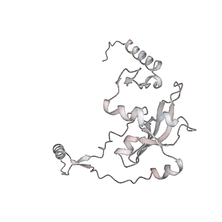 12568_7nsi_Aj_v1-1
55S mammalian mitochondrial ribosome with mtRRF (pre) and tRNA(P/E)