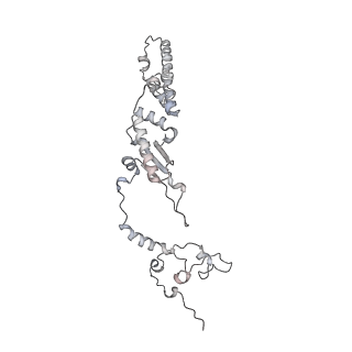 12568_7nsi_Ak_v1-1
55S mammalian mitochondrial ribosome with mtRRF (pre) and tRNA(P/E)
