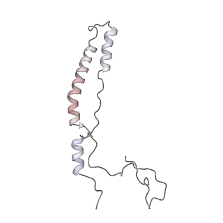 12568_7nsi_Am_v1-1
55S mammalian mitochondrial ribosome with mtRRF (pre) and tRNA(P/E)