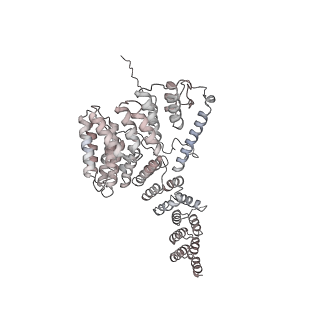 12568_7nsi_Ao_v1-1
55S mammalian mitochondrial ribosome with mtRRF (pre) and tRNA(P/E)