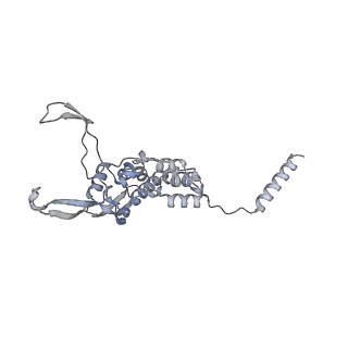 12568_7nsi_B1_v1-1
55S mammalian mitochondrial ribosome with mtRRF (pre) and tRNA(P/E)