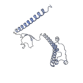 12568_7nsi_B2_v1-1
55S mammalian mitochondrial ribosome with mtRRF (pre) and tRNA(P/E)