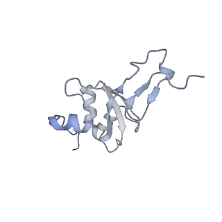 12568_7nsi_B3_v1-1
55S mammalian mitochondrial ribosome with mtRRF (pre) and tRNA(P/E)