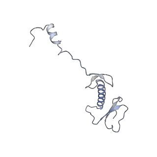 12568_7nsi_B5_v1-1
55S mammalian mitochondrial ribosome with mtRRF (pre) and tRNA(P/E)