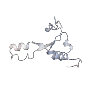 12568_7nsi_B8_v1-1
55S mammalian mitochondrial ribosome with mtRRF (pre) and tRNA(P/E)