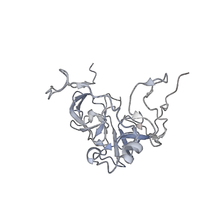 12568_7nsi_BD_v1-1
55S mammalian mitochondrial ribosome with mtRRF (pre) and tRNA(P/E)