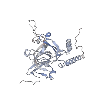 12568_7nsi_BE_v1-1
55S mammalian mitochondrial ribosome with mtRRF (pre) and tRNA(P/E)