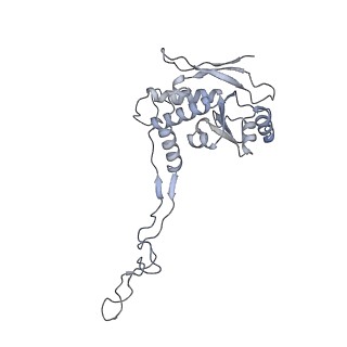 12568_7nsi_BF_v1-1
55S mammalian mitochondrial ribosome with mtRRF (pre) and tRNA(P/E)