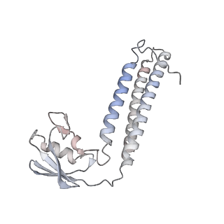 12568_7nsi_BG_v1-1
55S mammalian mitochondrial ribosome with mtRRF (pre) and tRNA(P/E)
