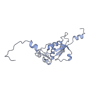12568_7nsi_BN_v1-1
55S mammalian mitochondrial ribosome with mtRRF (pre) and tRNA(P/E)
