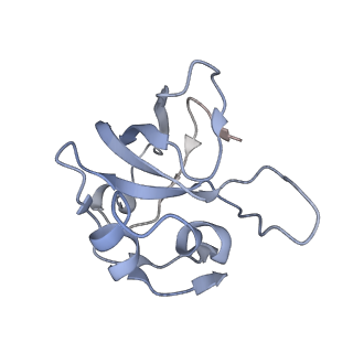 12568_7nsi_BO_v1-1
55S mammalian mitochondrial ribosome with mtRRF (pre) and tRNA(P/E)