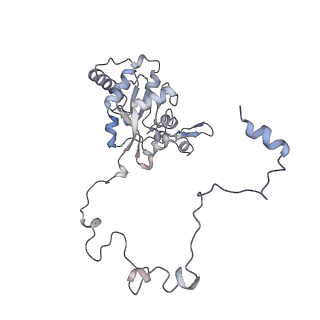 12568_7nsi_BP_v1-1
55S mammalian mitochondrial ribosome with mtRRF (pre) and tRNA(P/E)
