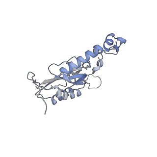 12568_7nsi_BQ_v1-1
55S mammalian mitochondrial ribosome with mtRRF (pre) and tRNA(P/E)