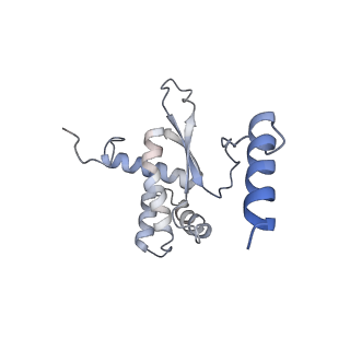 12568_7nsi_BR_v1-1
55S mammalian mitochondrial ribosome with mtRRF (pre) and tRNA(P/E)