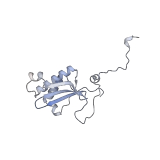 12568_7nsi_BS_v1-1
55S mammalian mitochondrial ribosome with mtRRF (pre) and tRNA(P/E)