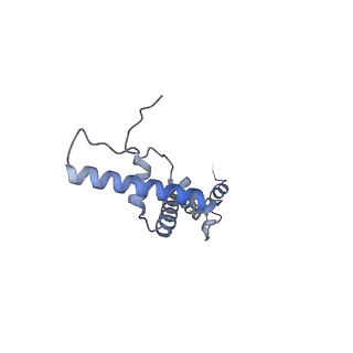 12568_7nsi_BU_v1-1
55S mammalian mitochondrial ribosome with mtRRF (pre) and tRNA(P/E)
