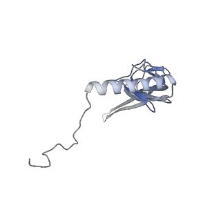 12568_7nsi_BV_v1-1
55S mammalian mitochondrial ribosome with mtRRF (pre) and tRNA(P/E)