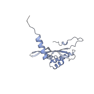12568_7nsi_BW_v1-1
55S mammalian mitochondrial ribosome with mtRRF (pre) and tRNA(P/E)