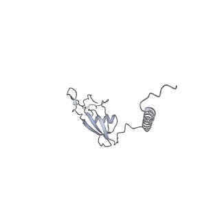 12568_7nsi_BX_v1-1
55S mammalian mitochondrial ribosome with mtRRF (pre) and tRNA(P/E)