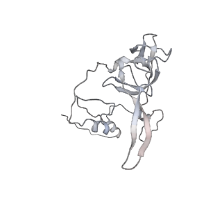 12568_7nsi_BY_v1-1
55S mammalian mitochondrial ribosome with mtRRF (pre) and tRNA(P/E)