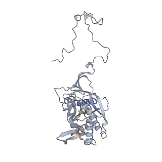 12568_7nsi_Ba_v1-1
55S mammalian mitochondrial ribosome with mtRRF (pre) and tRNA(P/E)