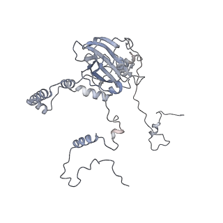 12568_7nsi_Bb_v1-1
55S mammalian mitochondrial ribosome with mtRRF (pre) and tRNA(P/E)