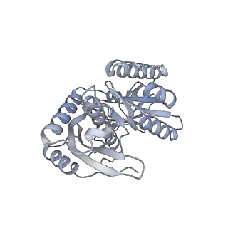 12568_7nsi_Bc_v1-1
55S mammalian mitochondrial ribosome with mtRRF (pre) and tRNA(P/E)