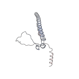 12568_7nsi_Bd_v1-1
55S mammalian mitochondrial ribosome with mtRRF (pre) and tRNA(P/E)