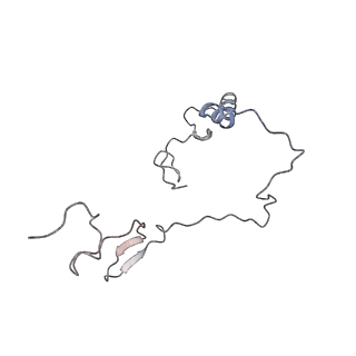 12568_7nsi_Be_v1-1
55S mammalian mitochondrial ribosome with mtRRF (pre) and tRNA(P/E)