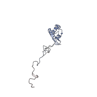 12568_7nsi_Bg_v1-1
55S mammalian mitochondrial ribosome with mtRRF (pre) and tRNA(P/E)