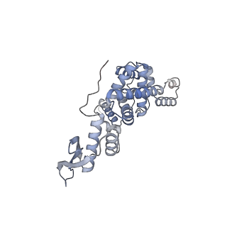 12568_7nsi_Bh_v1-1
55S mammalian mitochondrial ribosome with mtRRF (pre) and tRNA(P/E)