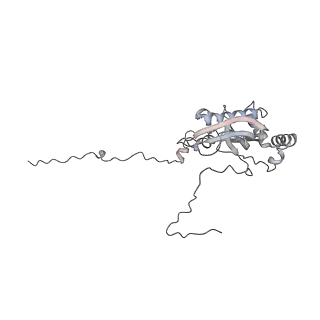12568_7nsi_Bi_v1-1
55S mammalian mitochondrial ribosome with mtRRF (pre) and tRNA(P/E)