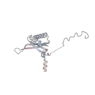 12568_7nsi_Bk_v1-1
55S mammalian mitochondrial ribosome with mtRRF (pre) and tRNA(P/E)