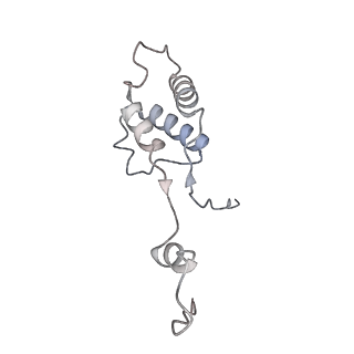 12568_7nsi_Bm_v1-1
55S mammalian mitochondrial ribosome with mtRRF (pre) and tRNA(P/E)