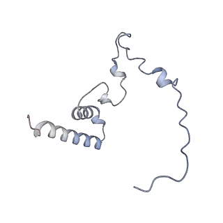 12568_7nsi_Bn_v1-1
55S mammalian mitochondrial ribosome with mtRRF (pre) and tRNA(P/E)