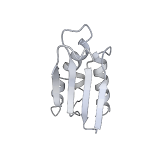 12568_7nsi_Bp_v1-1
55S mammalian mitochondrial ribosome with mtRRF (pre) and tRNA(P/E)
