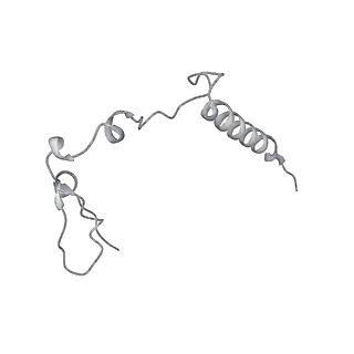 12568_7nsi_Bq_v1-1
55S mammalian mitochondrial ribosome with mtRRF (pre) and tRNA(P/E)
